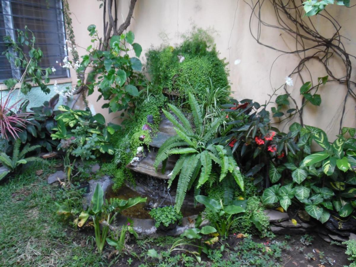 Hostal Cumbres Del Volcán Escalón