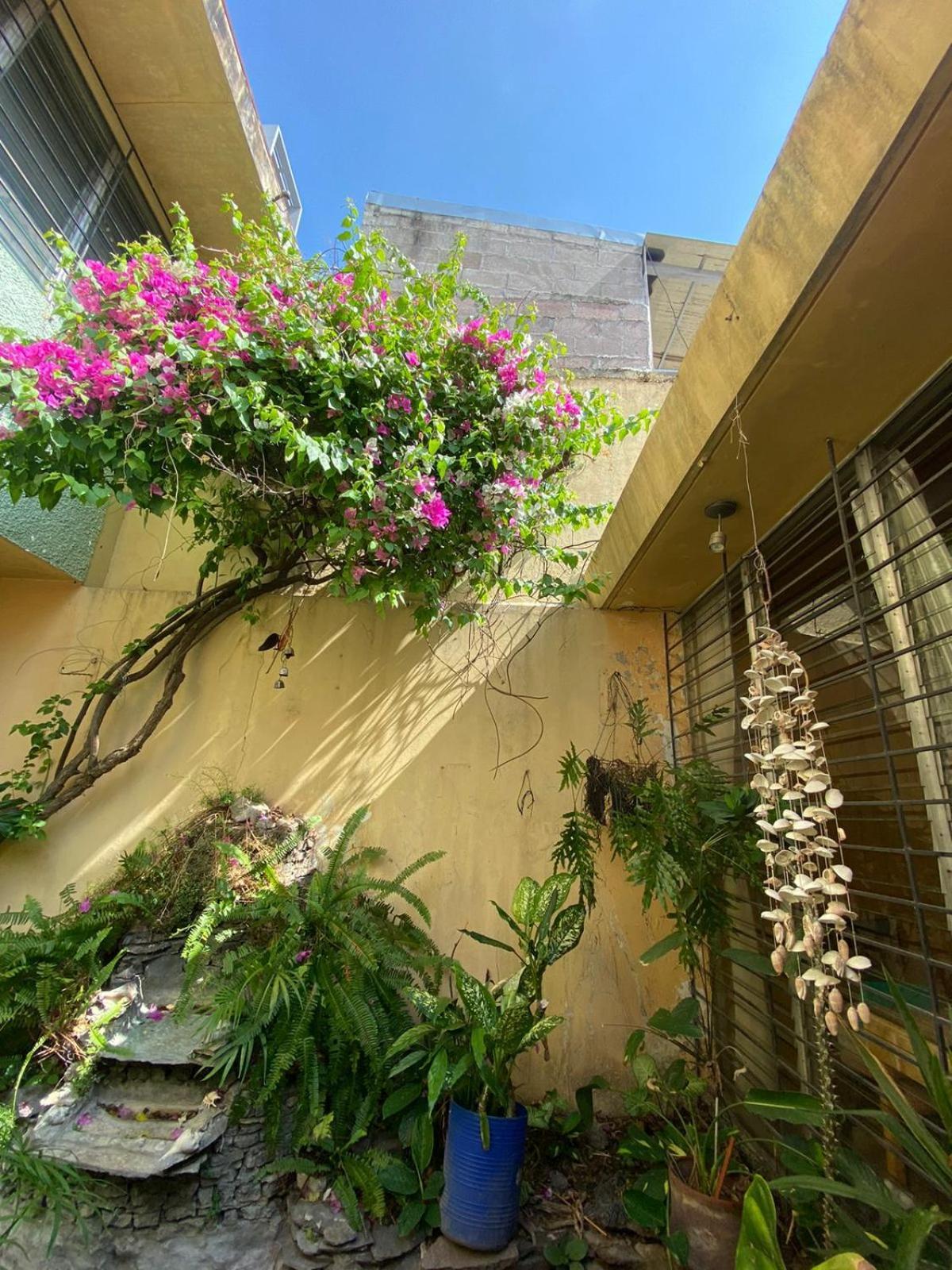 Hostal Cumbres Del Volcán Escalón *